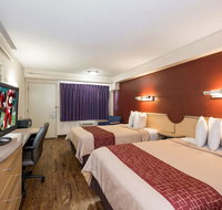 Red Roof Inn Hickory - Accommodation Philadelphia