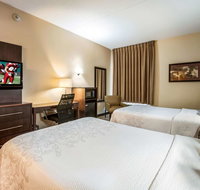 Red Roof Inn PLUS Raleigh NCSU - Convention Center - Accommodation Philadelphia