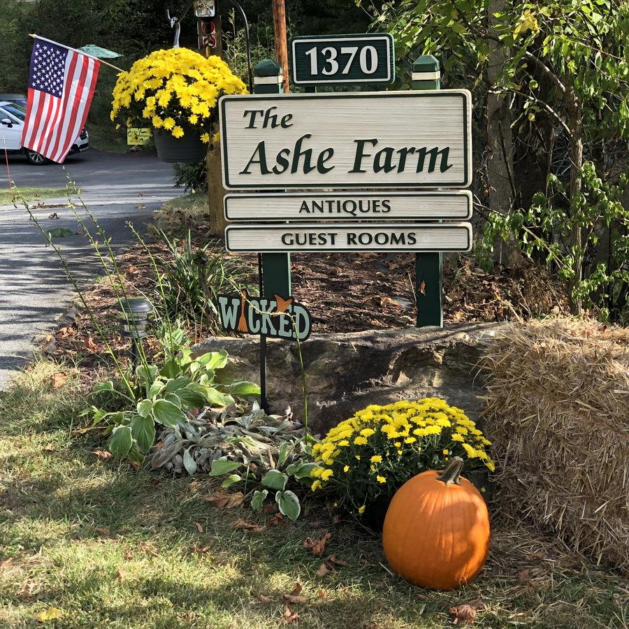 The Ashe Farm - thumb 0