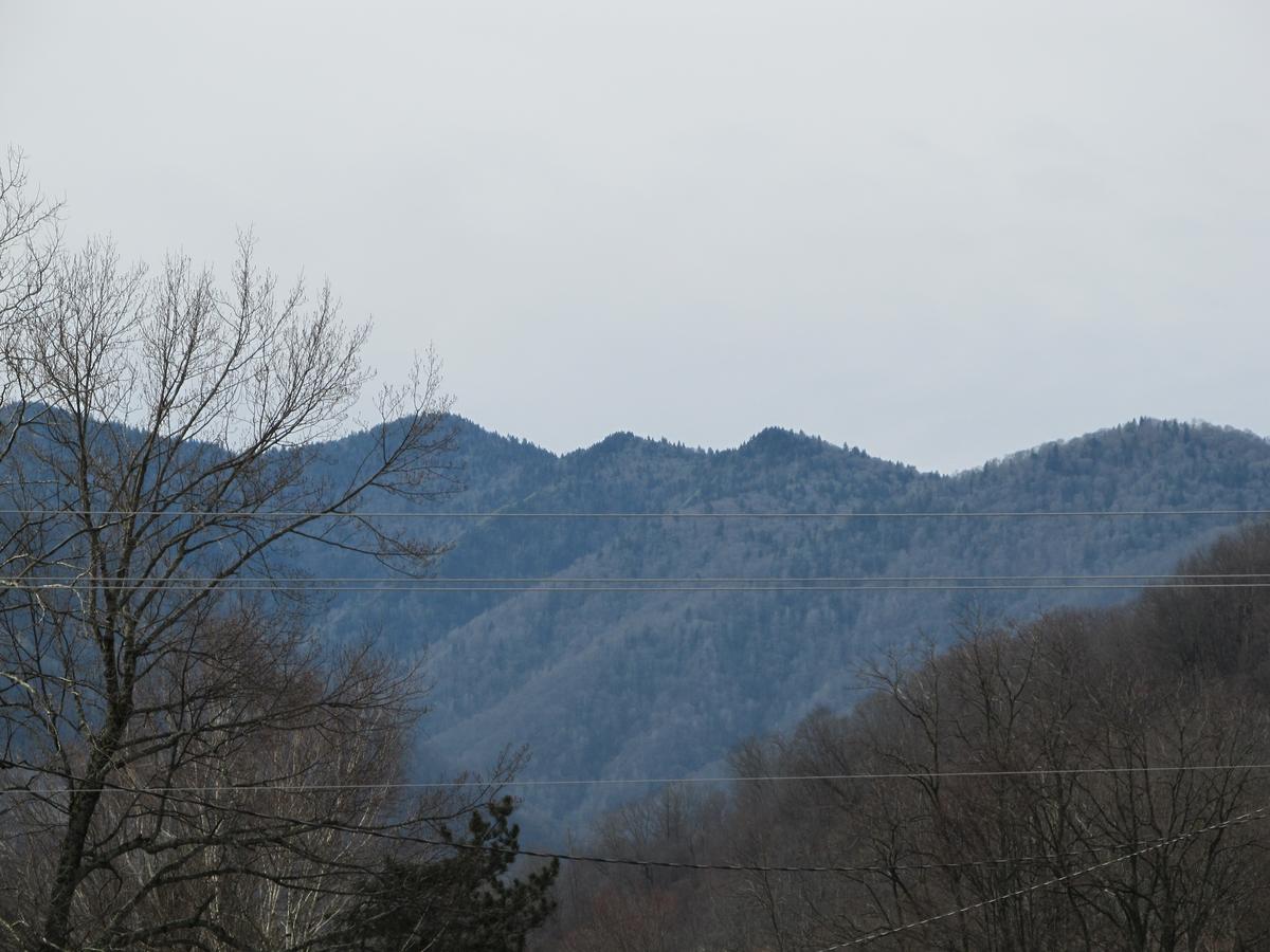 Jonathan Creek Inn And Villas - thumb 16