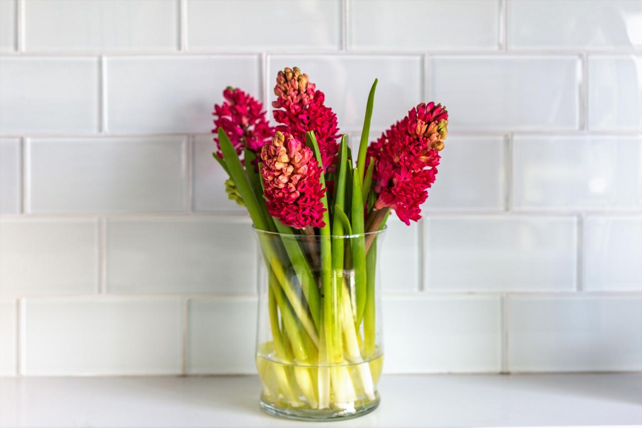 Stay Alfred At The Collins - thumb 34