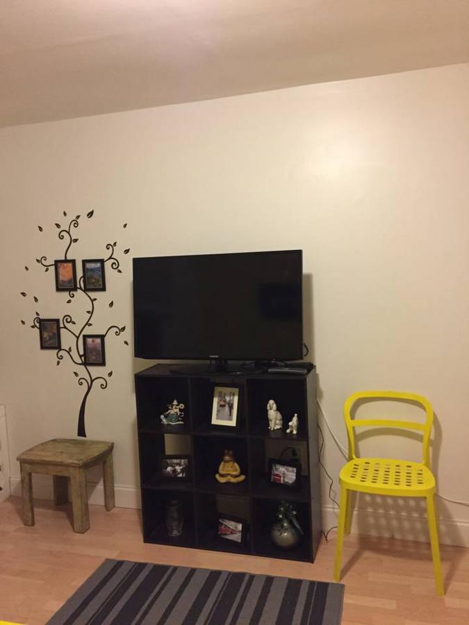 Historic Center & Italian Market 1 Bed Bi-level - thumb 5