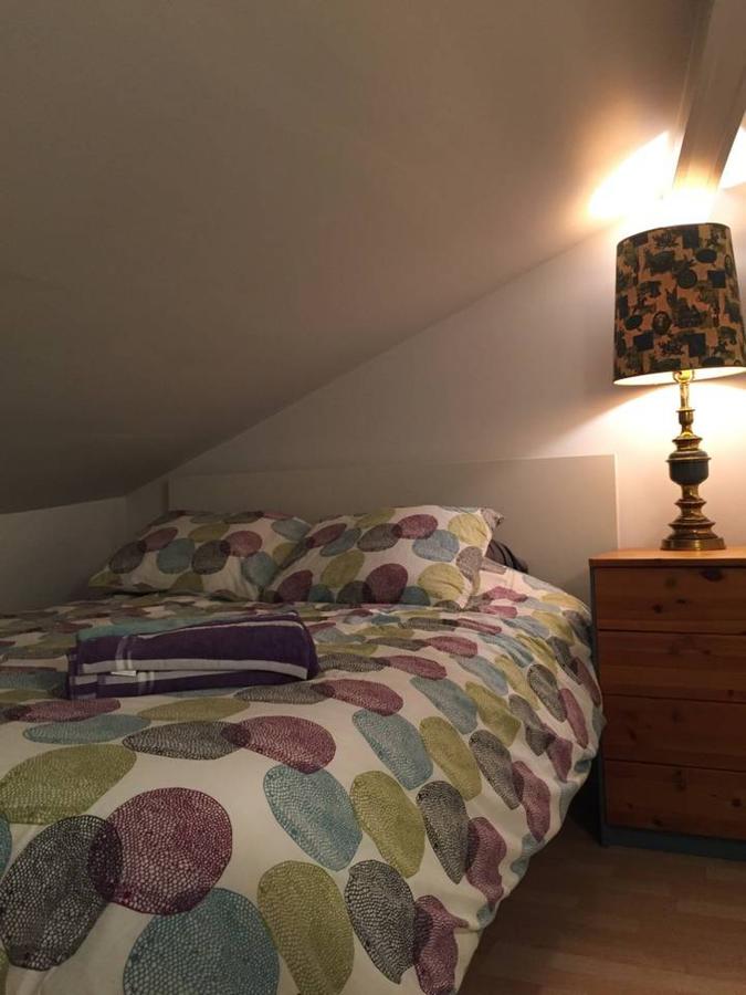 Historic Center & Italian Market 1 Bed Bi-level - thumb 2