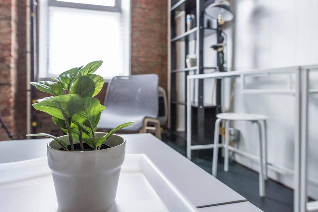 Hipster Flat Guesthouse At Palmer Park - thumb 5