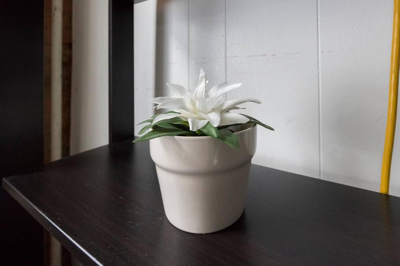 Hipster Flat Guesthouse At Palmer Park - thumb 2