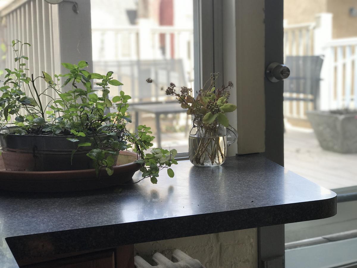 Queen Village Gem W/ Roof Deck - thumb 3