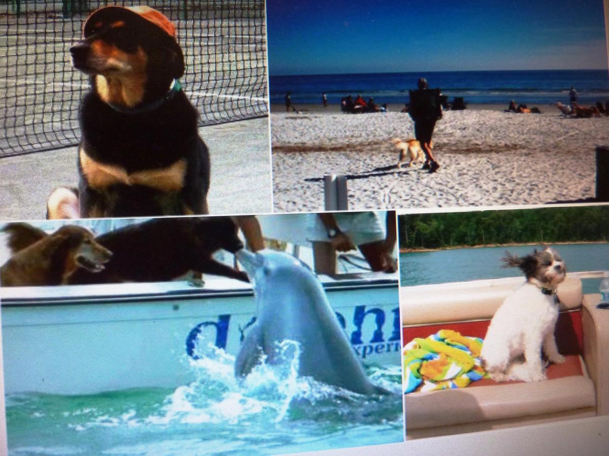 Seapines 594 Wildwood Spa - thumb 39