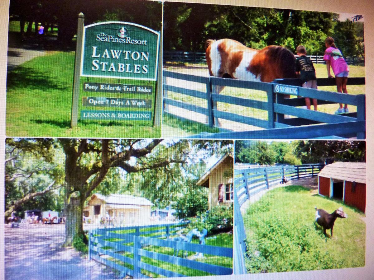 Seapines 594 Wildwood Spa - thumb 31