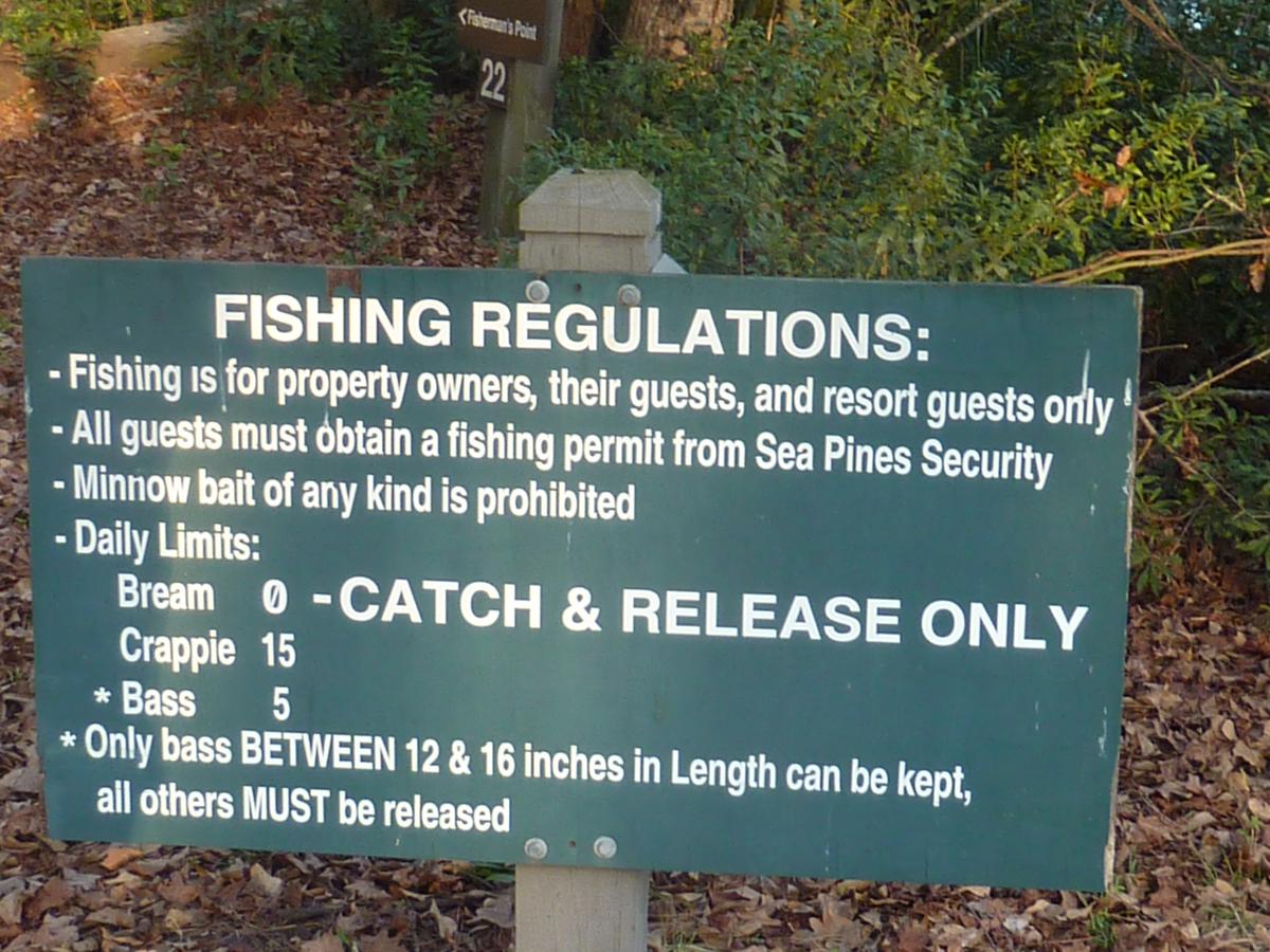 Seapines 594 Wildwood Spa - thumb 40