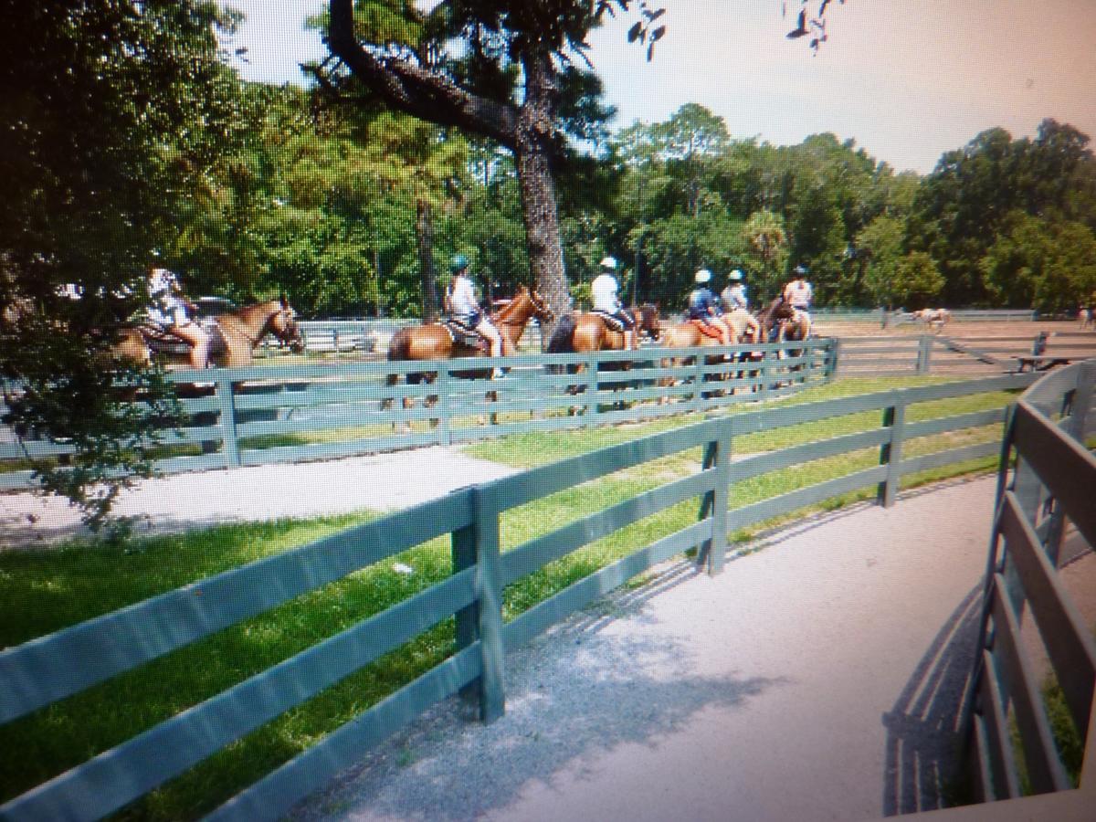 Seapines 594 Wildwood Spa - thumb 33