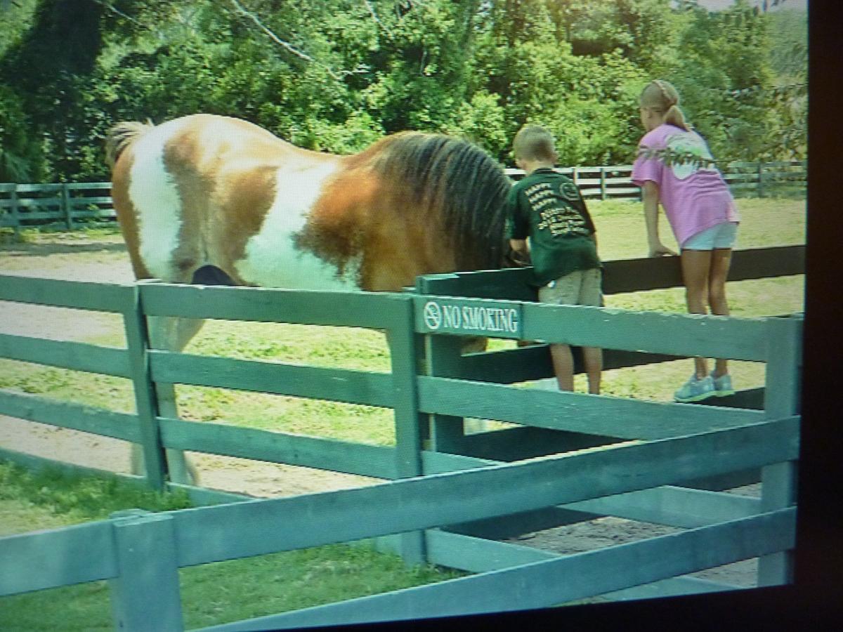 Seapines 594 Wildwood Spa - thumb 34