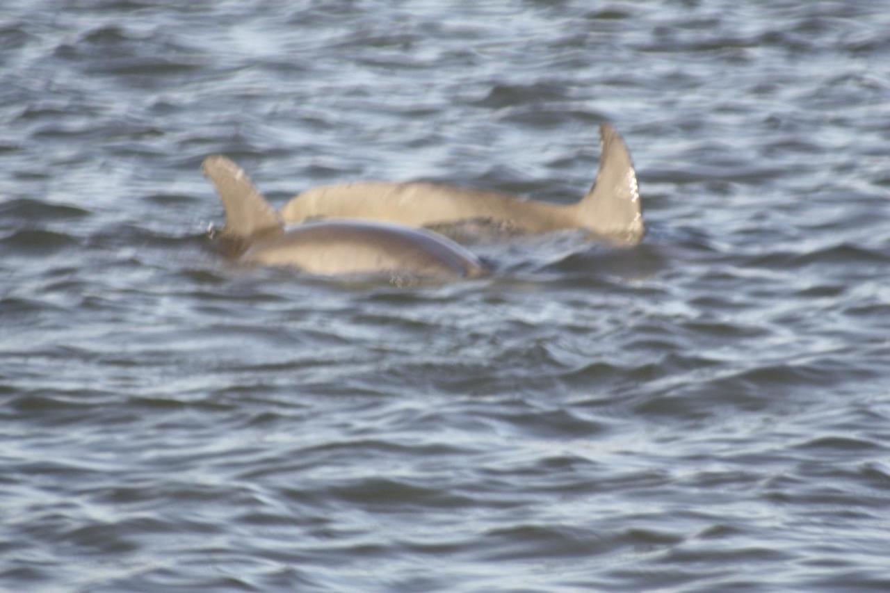 Coming Street Retreat - thumb 42