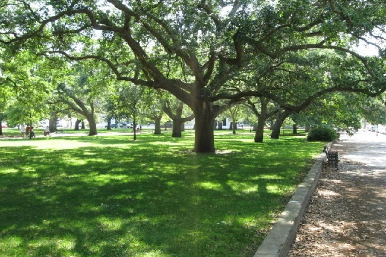 Coming Street Retreat - thumb 10