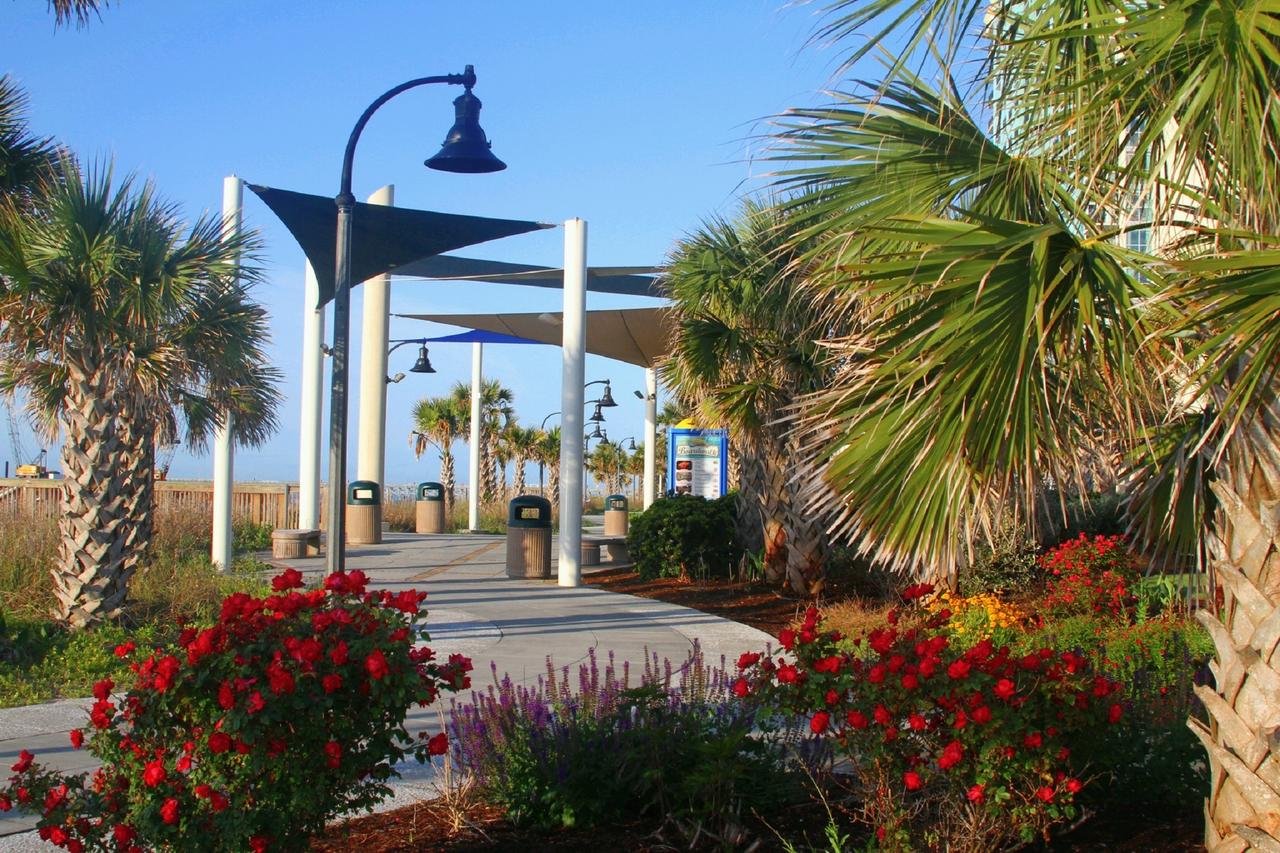 Bar Harbor - thumb 6