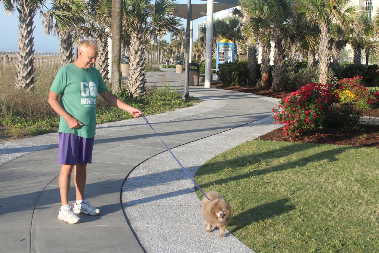 Bar Harbor - thumb 7