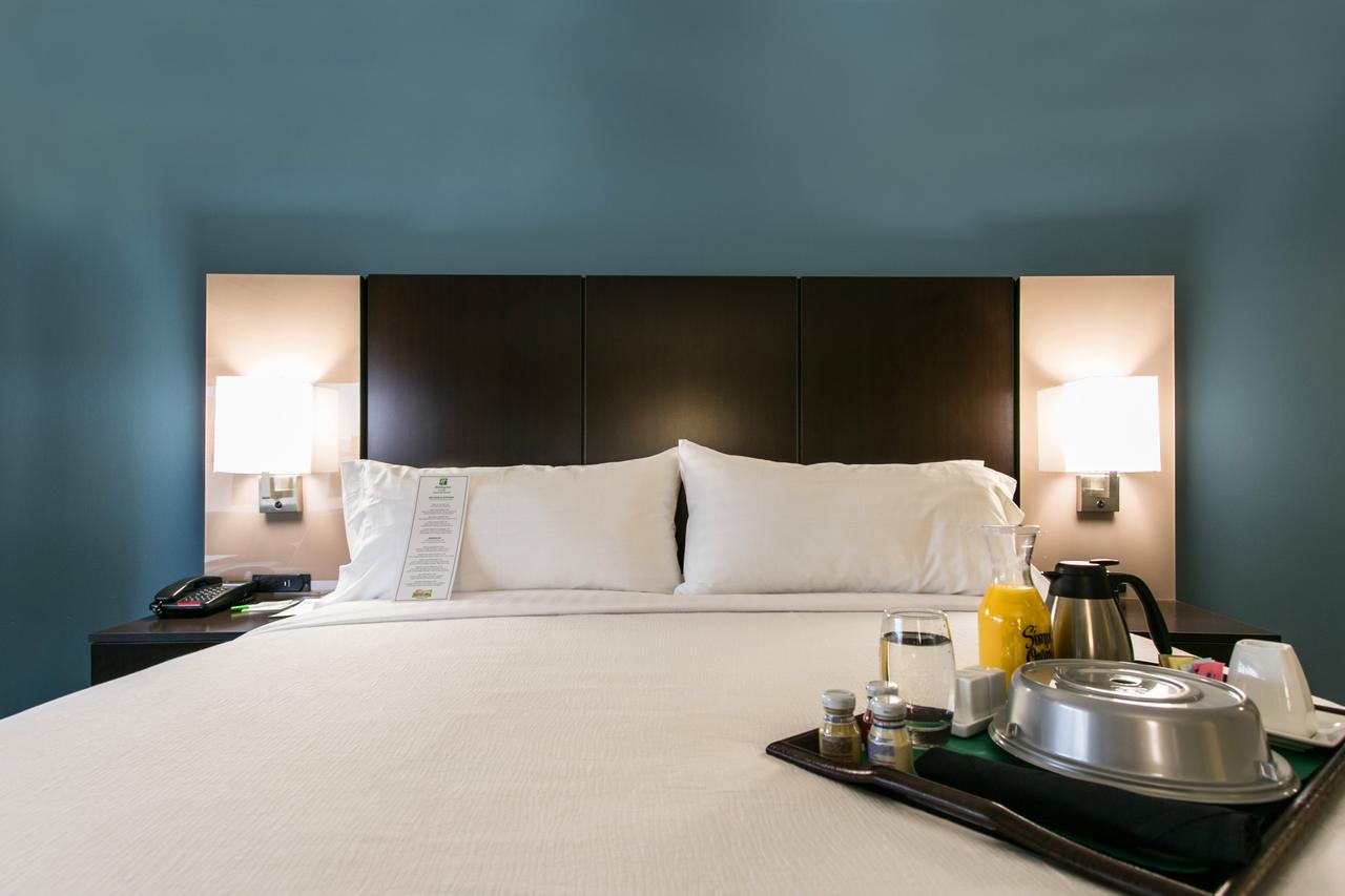 Holiday Inn Hotel & Suites Chattanooga - thumb 25