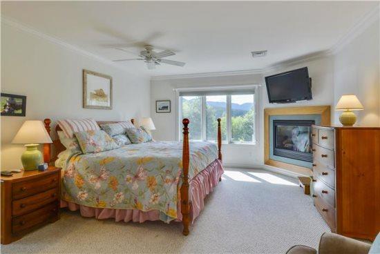597A Topnotch - thumb 15