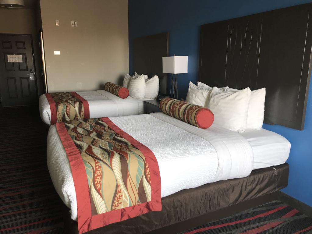 Best Western Plus Tech Medical Center Inn - thumb 2