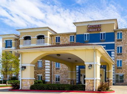 Comfort Suites Central
