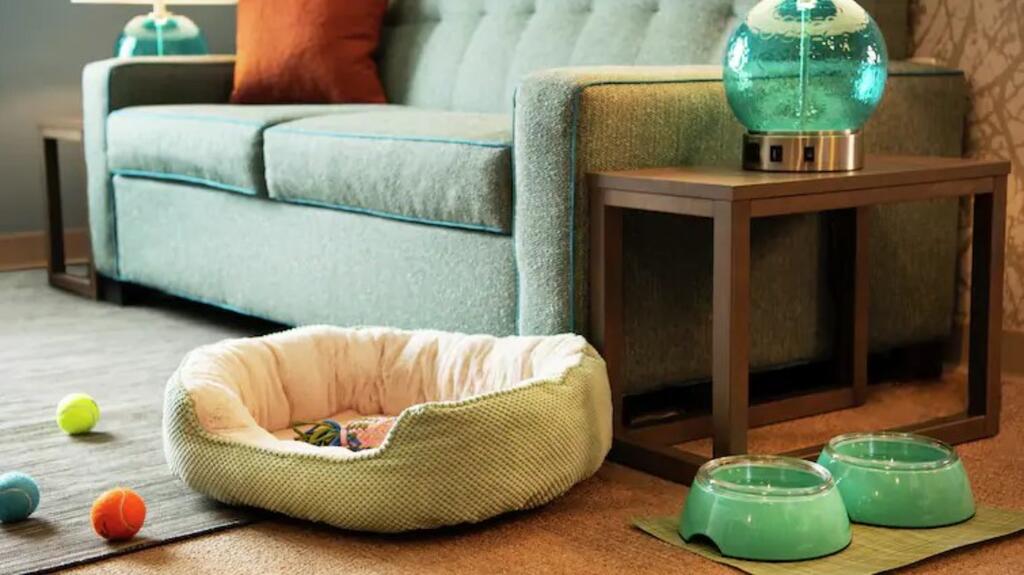 Home2 Suites By Hilton Cumming Atlanta, Ga - thumb 0