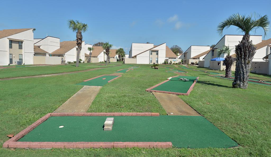 Horizon 201 - thumb 3