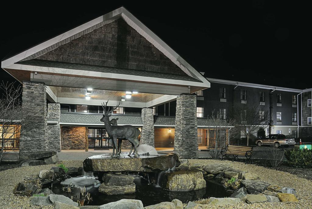 La Quinta By Wyndham Boone - thumb 1