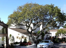 Lobos Lodge