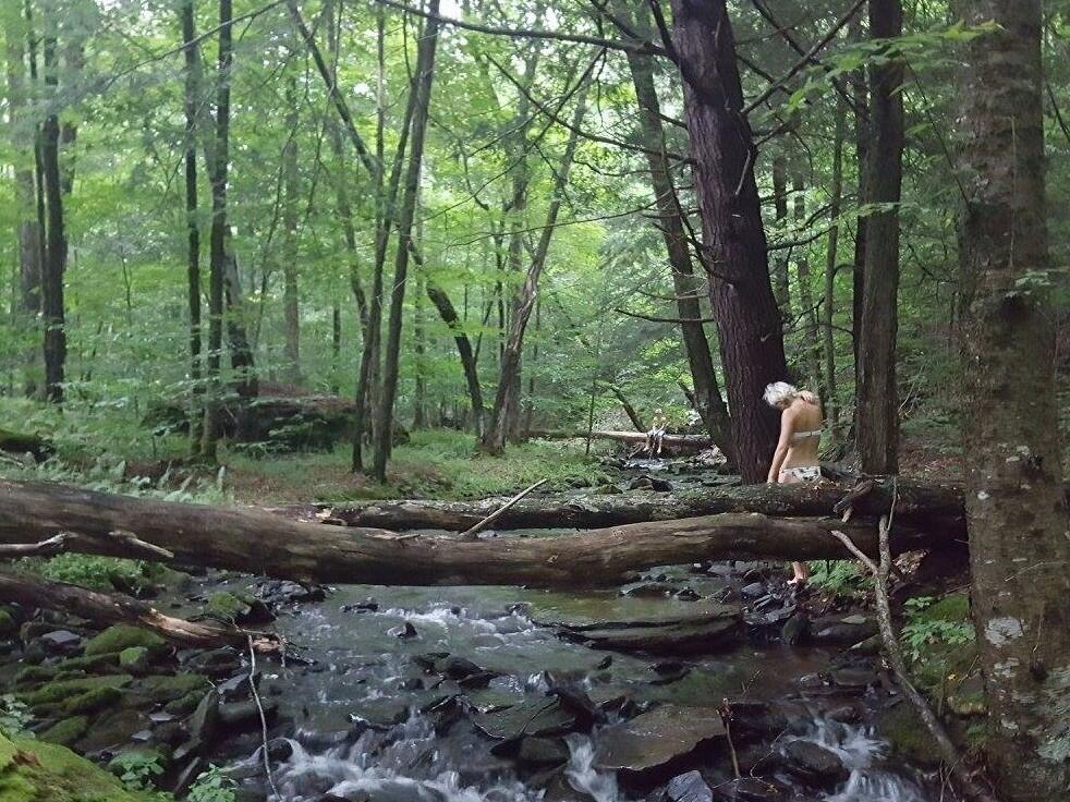 Tentrr - Camp Haven: Meadow Retreat - thumb 1