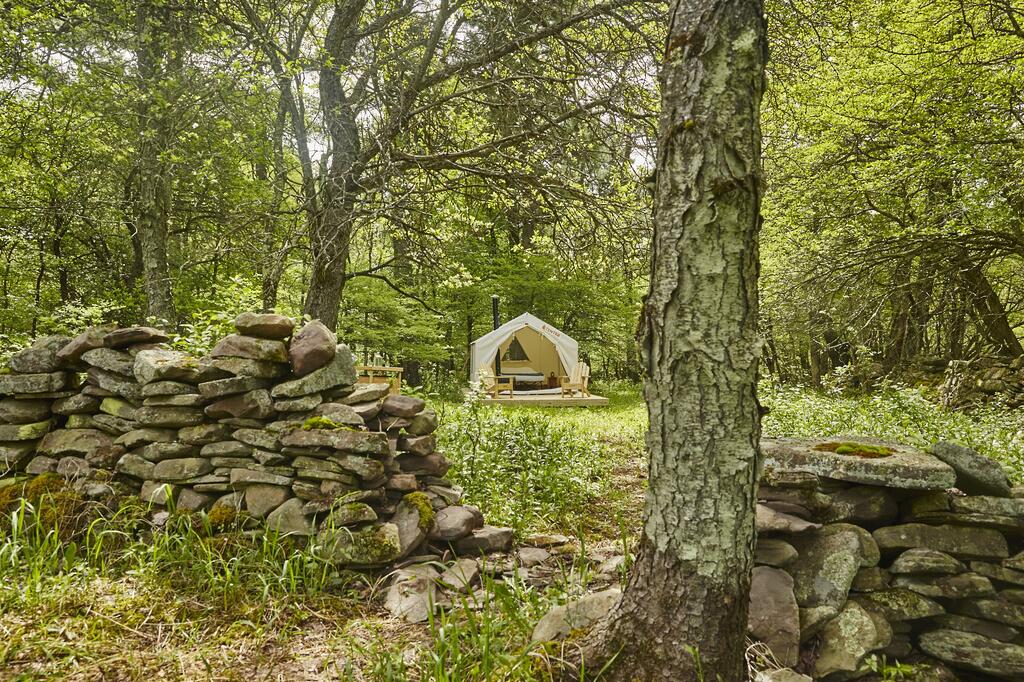 Tentrr - Lovely Apple Grove Retreat - thumb 2