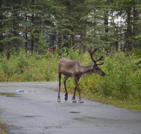 All Seasons BB - Accommodation Philadelphia