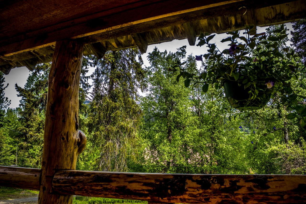 Midnight Sun Log Cabins - thumb 33