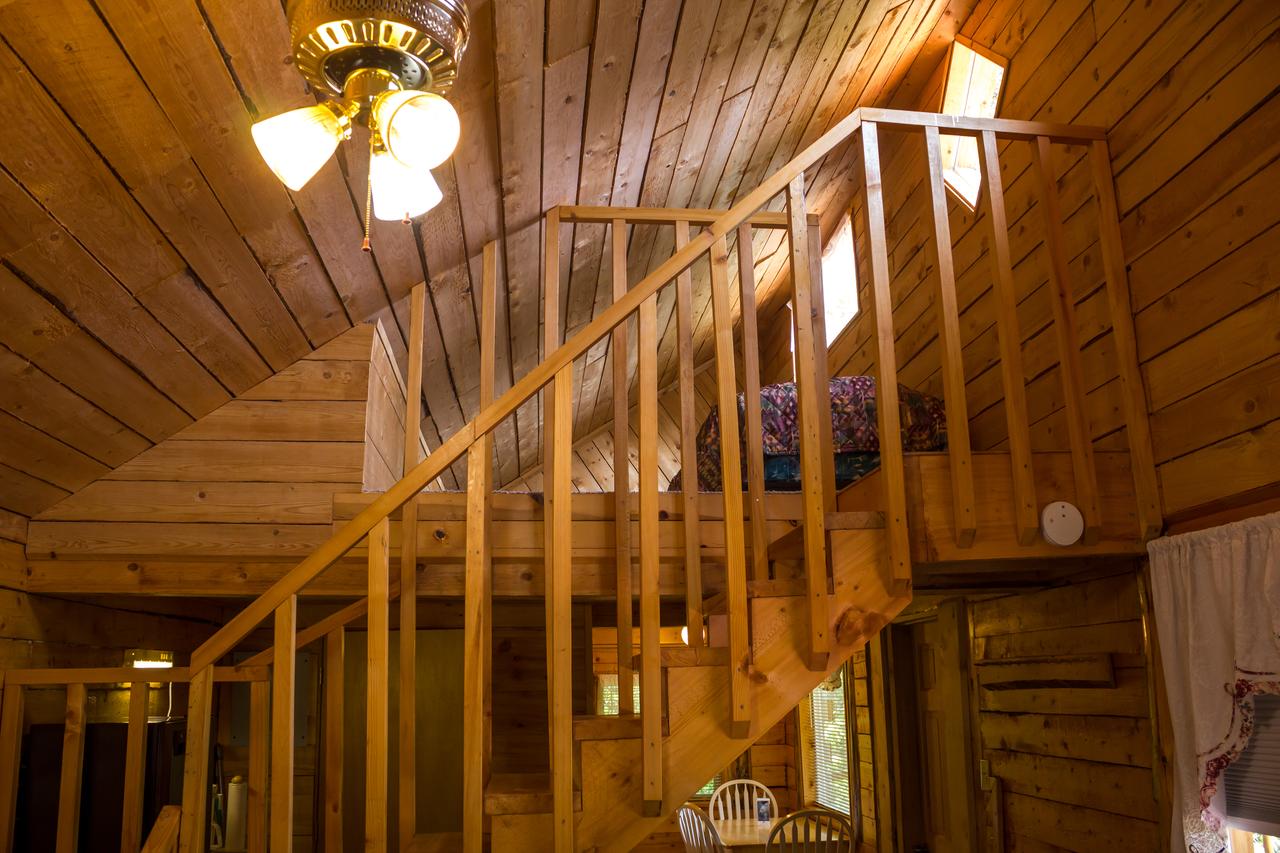 Midnight Sun Log Cabins - thumb 28