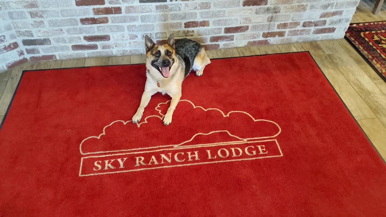 Sky Ranch Lodge - thumb 30