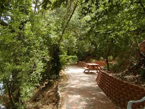 Cedars Resort - thumb 38