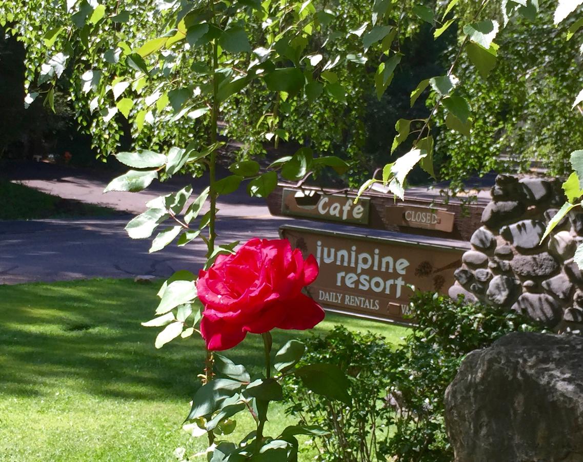Junipine Resort - thumb 0