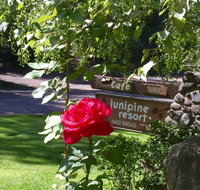 Junipine Resort - Accommodation Philadelphia