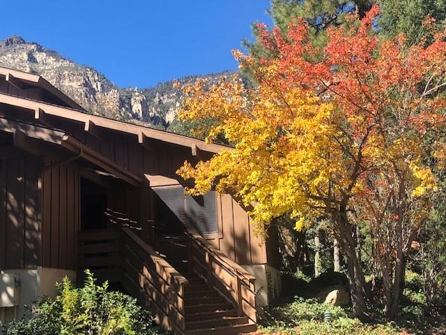 Junipine Resort - thumb 15