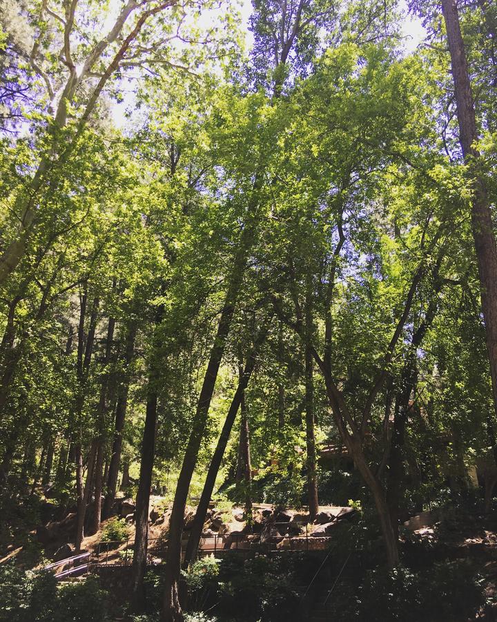 Junipine Resort - thumb 39