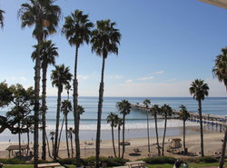 Sea Horse Resort