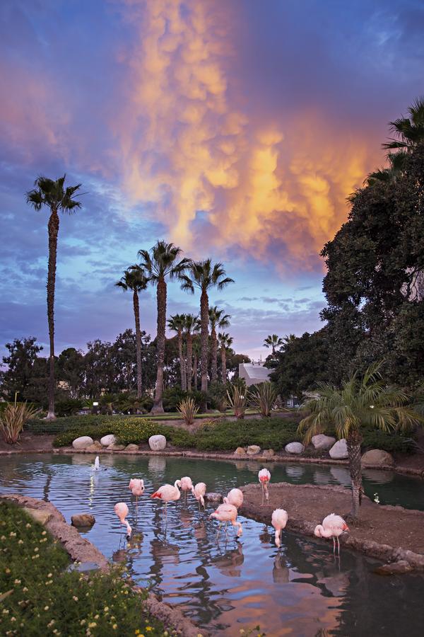 Coronado Island Marriott Resort & Spa - thumb 20