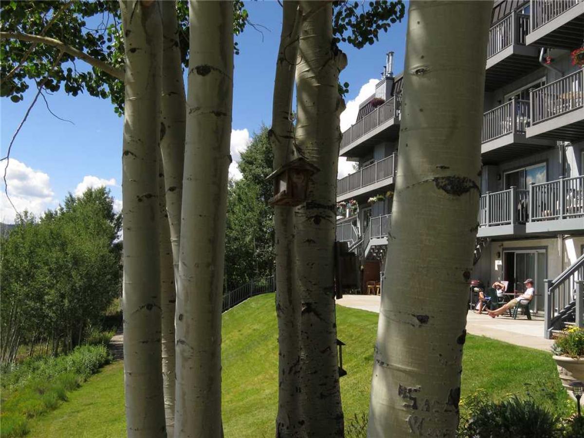 Summit Yacht Club 31 (Condo) - thumb 22