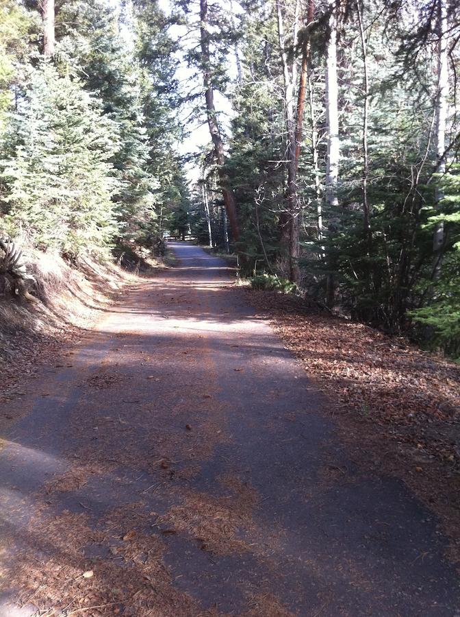 Elk Run Bed And Breakfast - thumb 9