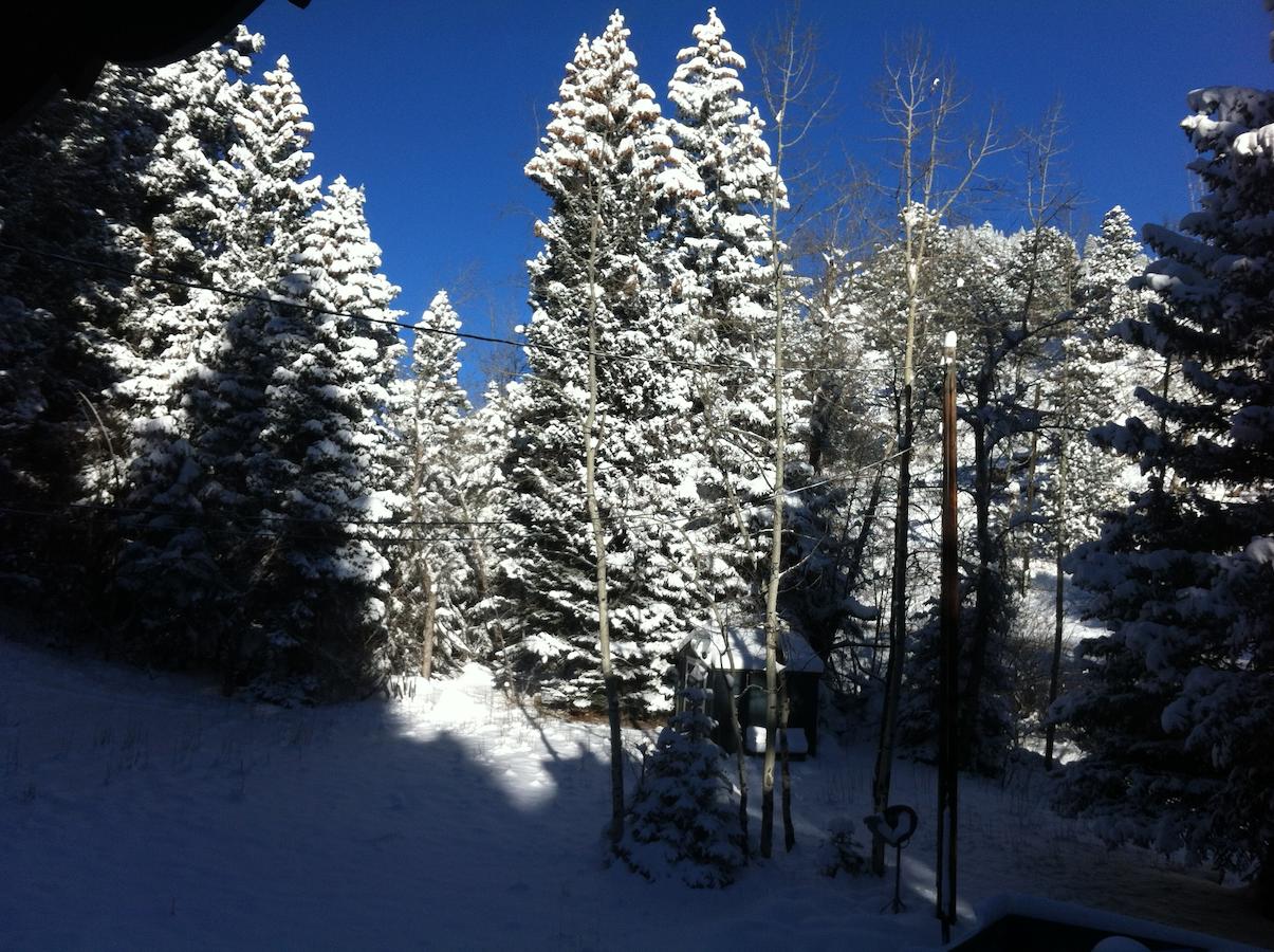 Elk Run Bed And Breakfast - thumb 7