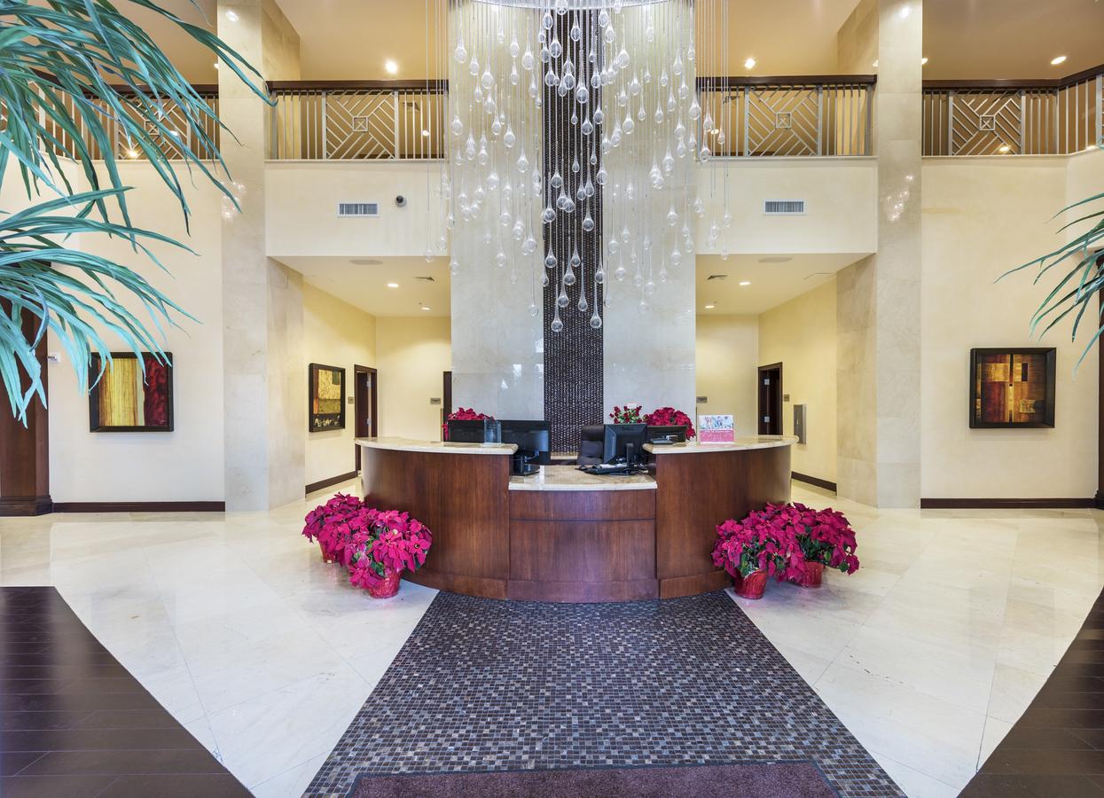 Brand New 1 Bedroom Close To The Beach - thumb 22