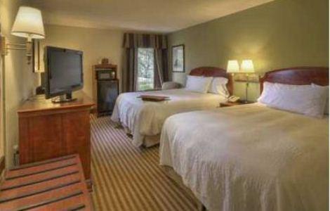 Hampton Inn Amelia Island - thumb 4