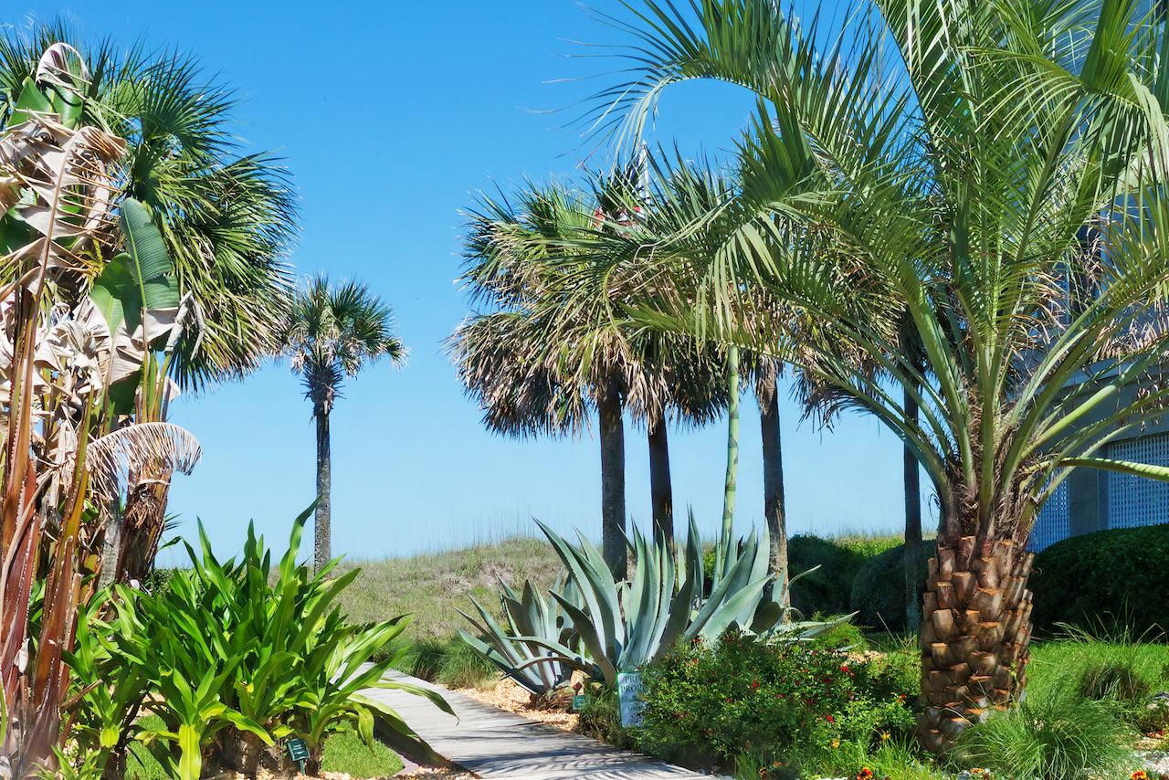 Elizabeth Pointe Lodge - thumb 18
