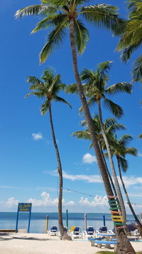 Altamonte Springs Fl Accommodation Philadelphia