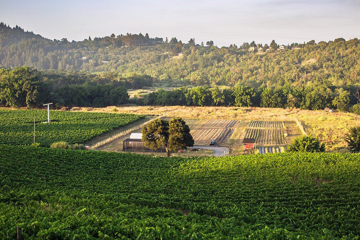 SingleThread Farm - thumb 1