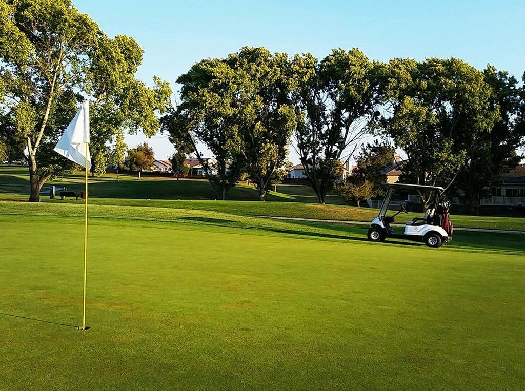 Ridgemark Golf & Country Club - thumb 2