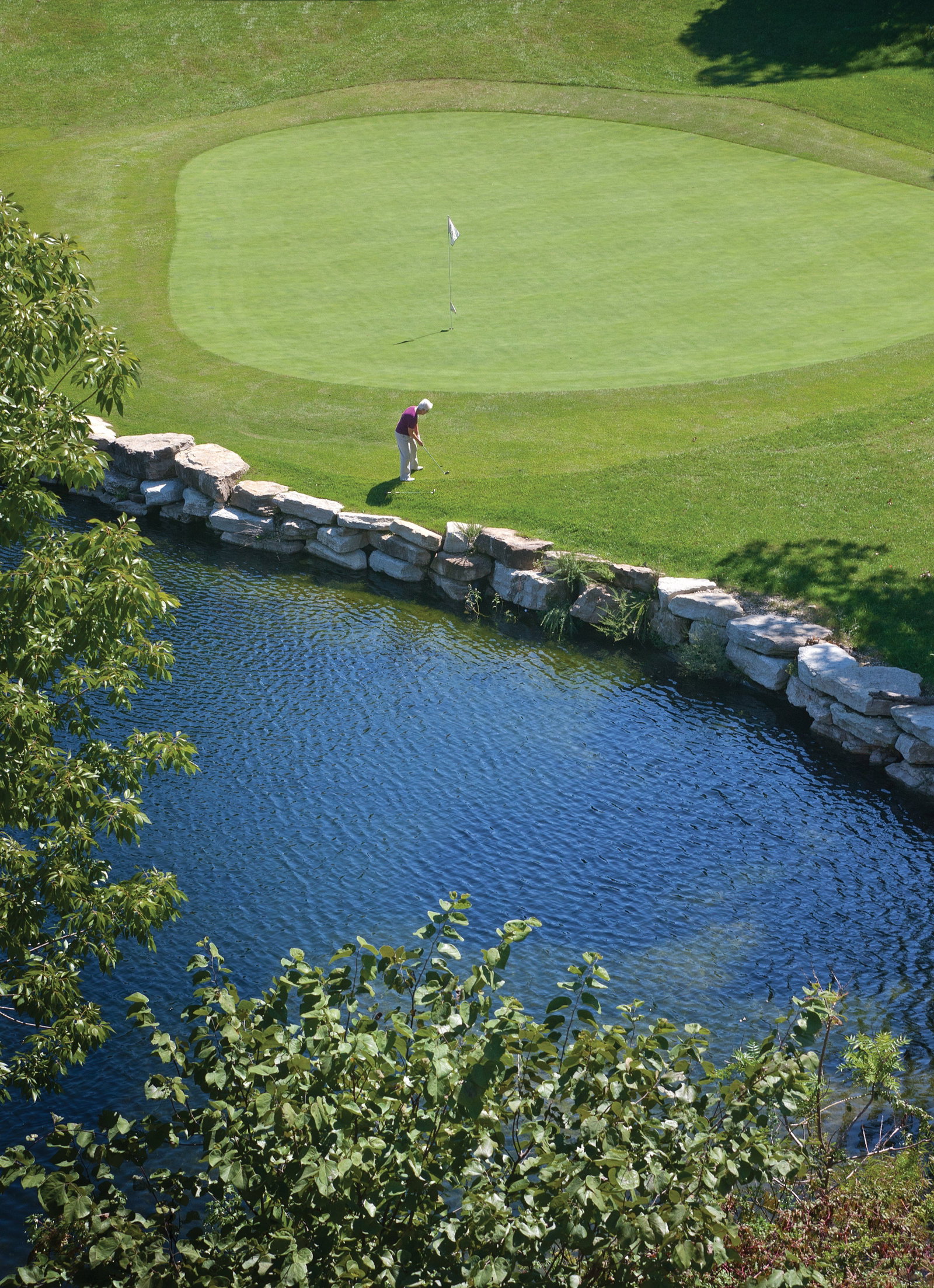 WorldMark Branson - thumb 5